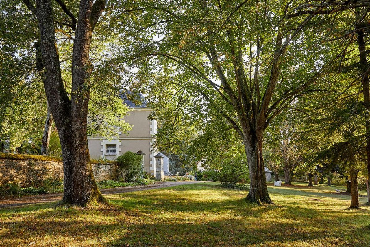 La Jagee Bed & Breakfast Cheillé Dış mekan fotoğraf